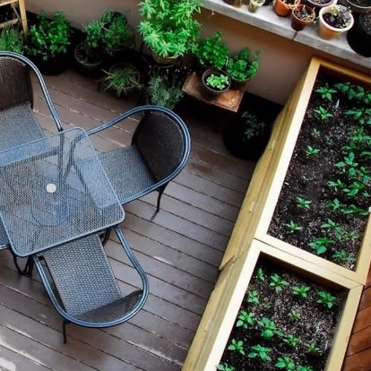 Городское садоводство: как вырастить свой оазис на балконе