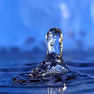 Биофильтры для очистки воды: принципы работы и эффективность применения в домашних условиях.